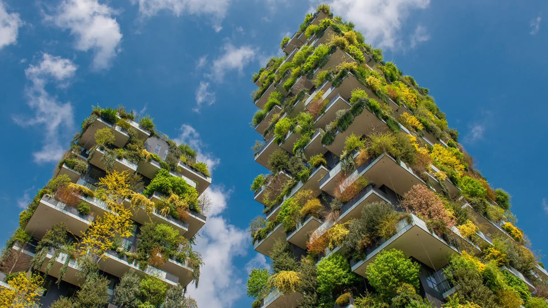 Green vertical-forest towers